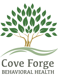 Photo of Cove Forge of Pittsburgh