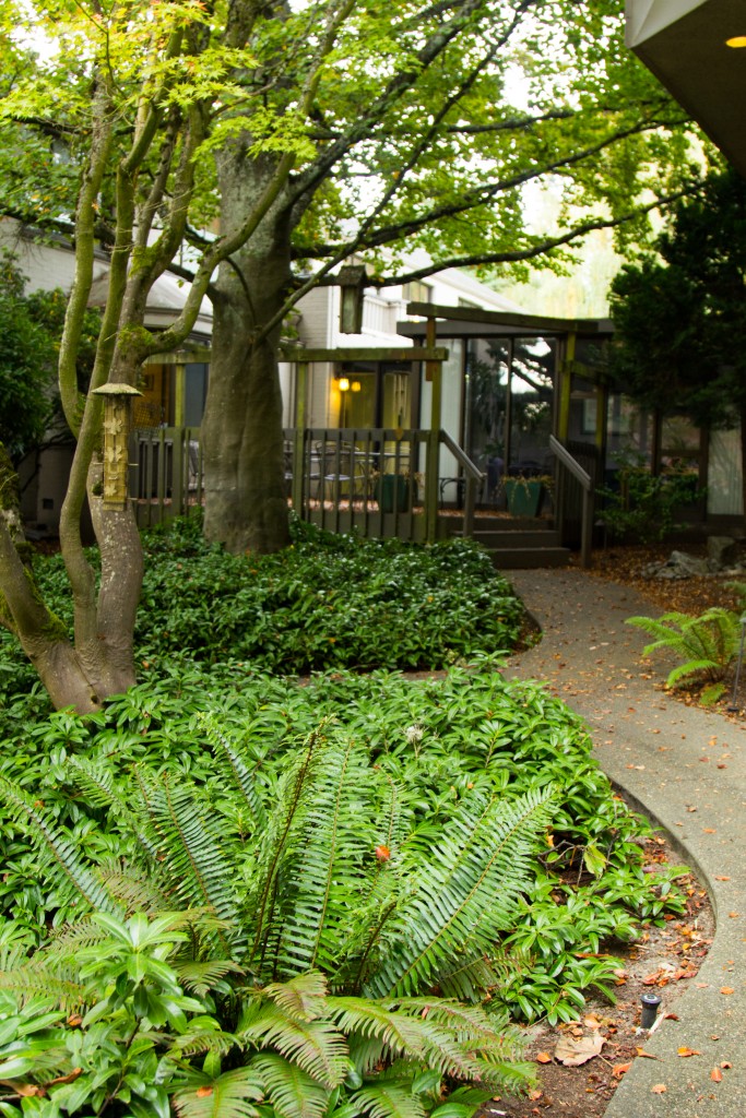 Photo of Cascade Behavioral Health Hospital
